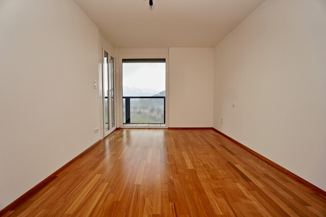 2,5 Zimmer-Wohnung |  Ausblick  |  Götzis