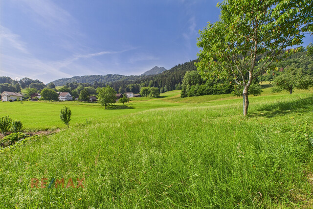 Wohnung mit Hausgefühl: Natur, Ruhe und Komfort im Einklang