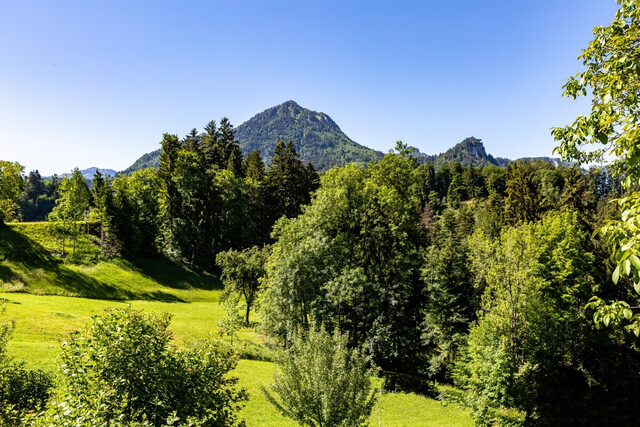 Einfamilienhaus/Ferienhaus in absoluter Ruhelage