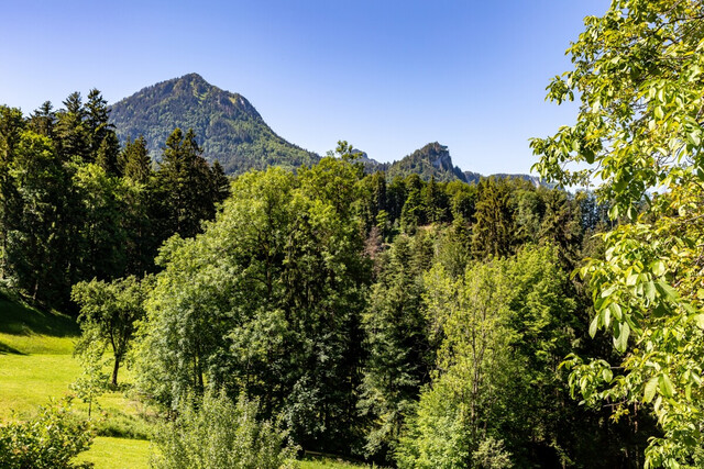 Einfamilienhaus/Ferienhaus in absoluter Ruhelage