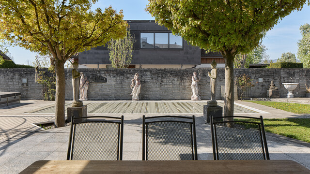 Besondere Liegenschaft im Ried von Fußach