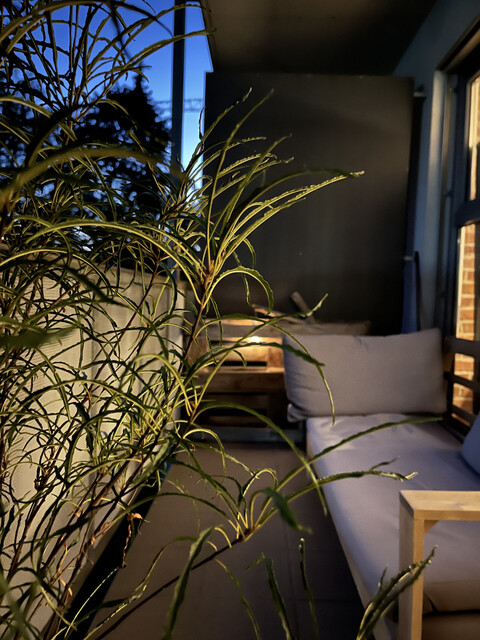 Loftartige 3-Zimmer-Wohnung mit Einliegerwohnung in Toplage von Dornbirn!