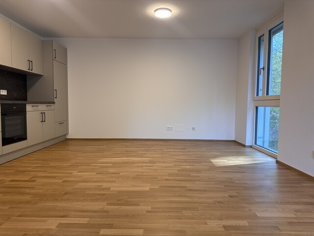 Exklusive 3-Zi-Neubauwohnung im Erstbezug in Koblach