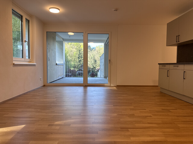 Exklusive 3-Zi-Neubauwohnung im Erstbezug in Koblach