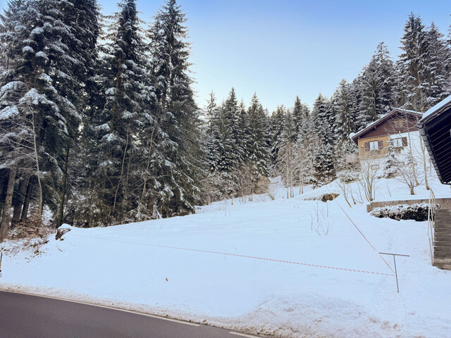 Baugrundstück mit Ferienwidmung in bester Lage in Schwarzenberg Bödele