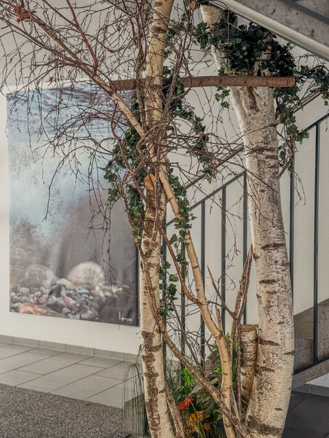 Ihr privater Rückzugsort in den Alpen – selten, wertstabil, außergewöhnlich!