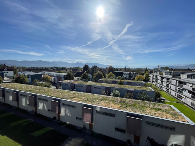 Hard am Bodensee | 3 Zimmerwohnung in Seenähe