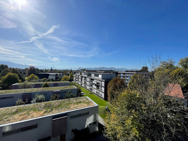 Hard am Bodensee | 3 Zimmerwohnung in Seenähe