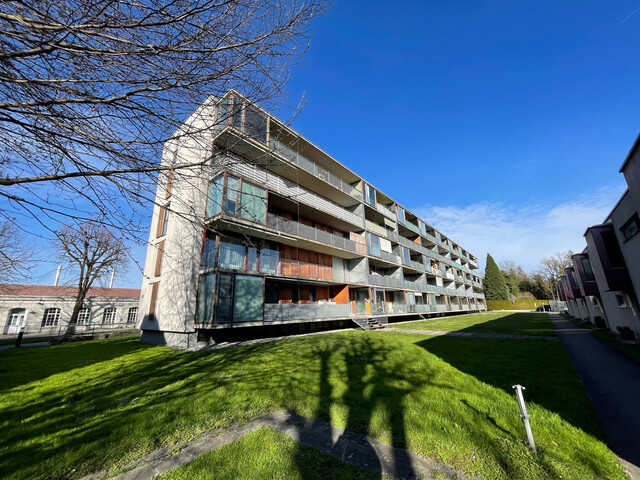 Hard am Bodensee | 3 Zimmerwohnung in Seenähe