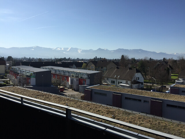 Hard am Bodensee | 3 Zimmerwohnung in Seenähe