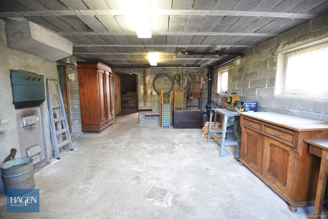 Einfamilienhaus in Lustenau - Naturidyll am Alten Rhein!