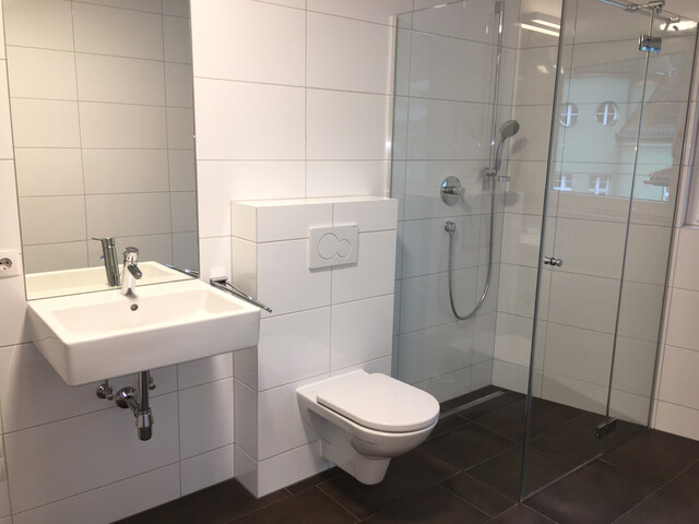 Exklusive Dachgeschosswohnung im Zentrum von Bregenz zu vermieten