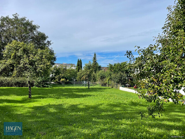 Toplage trifft leistbaren Preis