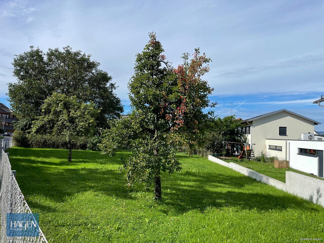 Toplage trifft leistbaren Preis