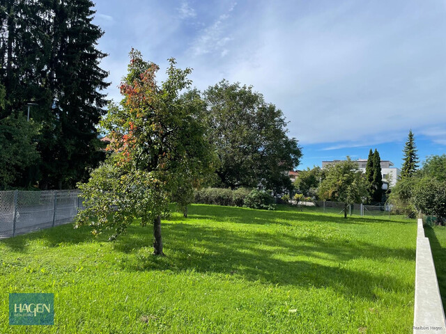 Toplage trifft leistbaren Preis