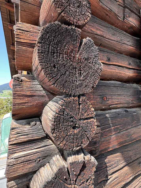 Montafoner Bauernhaus (Hauptwohnsitz)