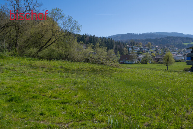Schönes Grundstück in leichter Hanglage