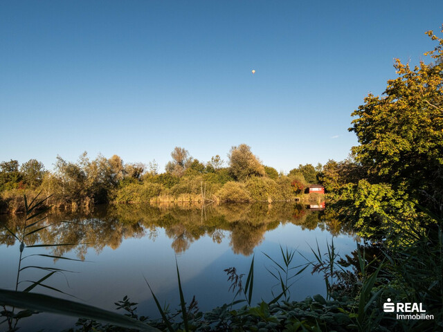 Exklusives Anwesen mit eigenem Weiher – Einmalige Villa in absoluter Ruhelage