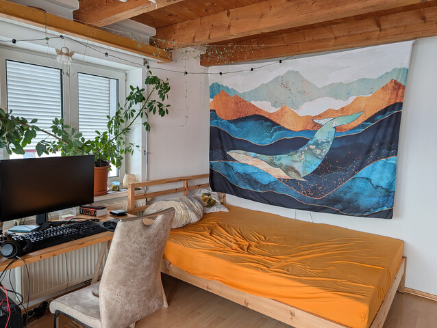 Schöne Dachgeschosswohnung in Nenzing