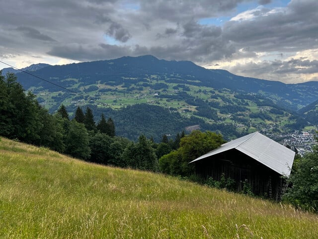 Tschagguns | Waldflächen | Landwirtschaftliche Flächen | Kauf