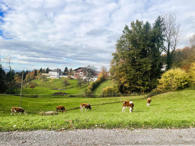 Für Naturliebhaber - ruhige 2,5 Zimmerwohnung mit wunderschöner Aussicht