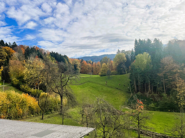 Für Naturliebhaber - ruhige 2,5 Zimmerwohnung mit wunderschöner Aussicht