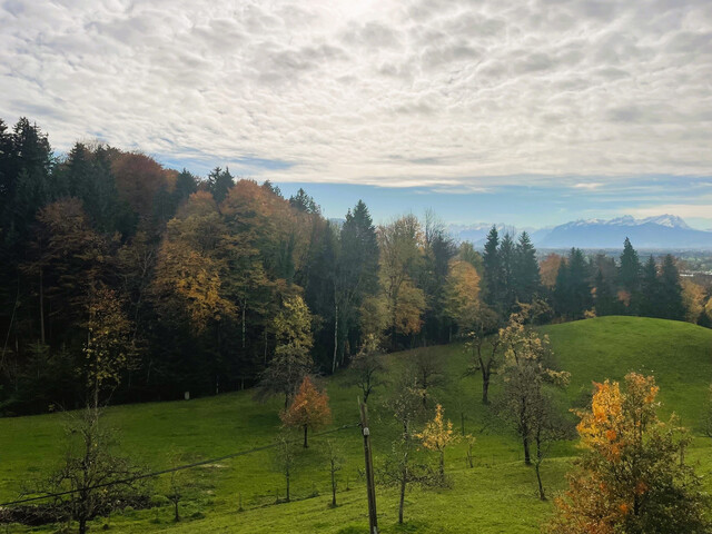 Für Naturliebhaber - ruhige 2,5 Zimmerwohnung mit wunderschöner Aussicht