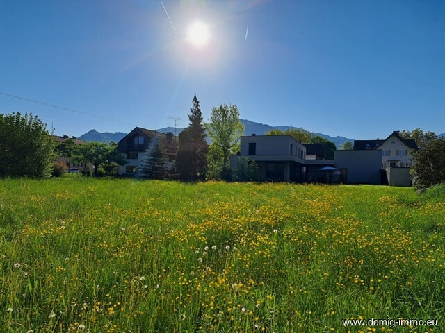 Sonniges Baugrundstück in Dornbirn/Rohrbach mit eigener Zufahrt!