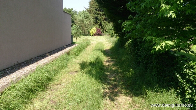 Sonniges Baugrundstück in Dornbirn/Rohrbach mit eigener Zufahrt!