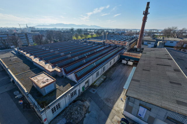 Attraktive Gewerbeflächen in Hard mit Industriecharme und Seenähe