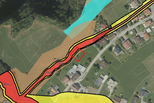 Ihr Rückzugsort in Hohenems/Emsreute – sonniges, ruhiges Grundstück