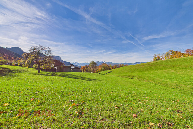 Ihr Rückzugsort in Hohenems/Emsreute – sonniges, ruhiges Grundstück