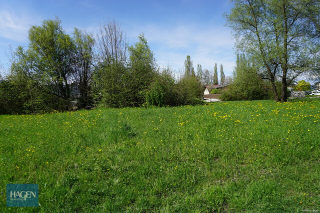 Baugrund mit Weitblick – Wohnbauland in bester Lustenauer Ortsrandlage