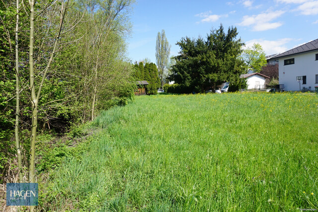 Baugrund mit Weitblick – Wohnbauland in bester Lustenauer Ortsrandlage