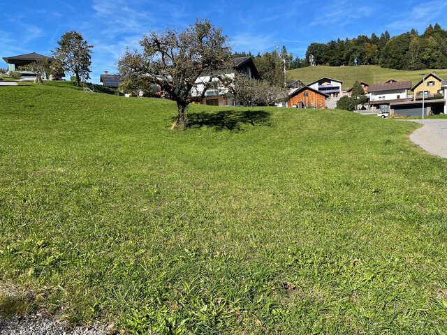 Großer leistbarer Baugrund in Gurtis