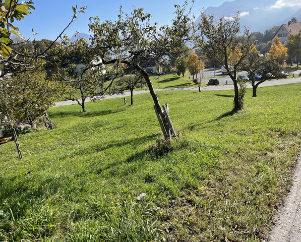 Großer leistbarer Baugrund in Gurtis