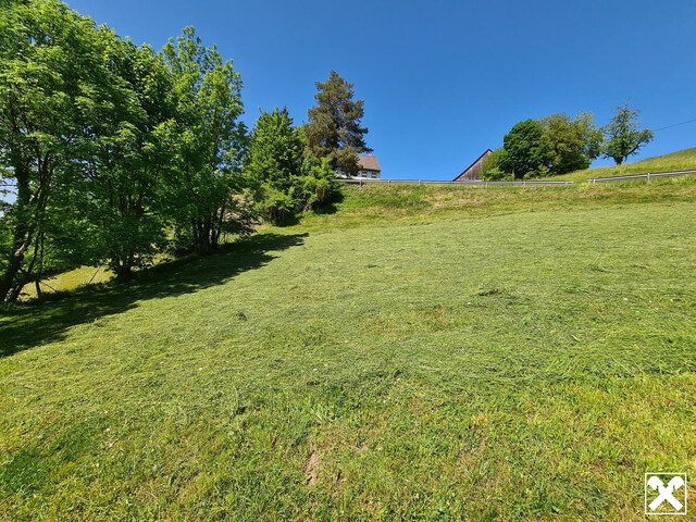 Hanglage mit Weitblick