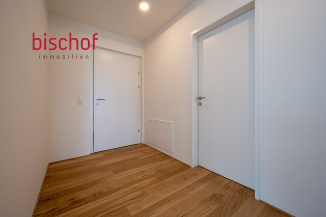 Schöne Wohnung mit grosser Terrasse