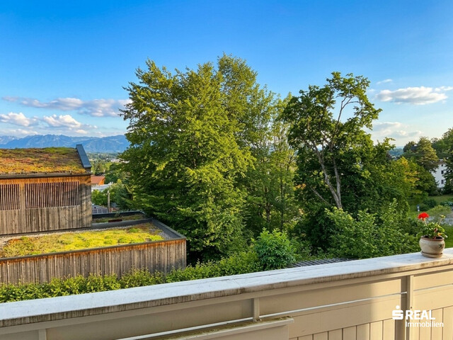 Wohnhaus in sehr guter Lage mit 3 Wohnungen, Garagen und eigenem Wald zu verkaufen