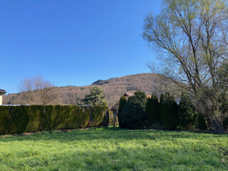 Ein guter Grund zum Bauen - naturnahes Grundstück in Koblach!