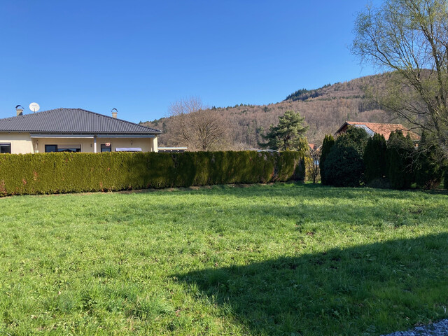 Ein guter Grund zum Bauen - naturnahes Grundstück in Koblach!