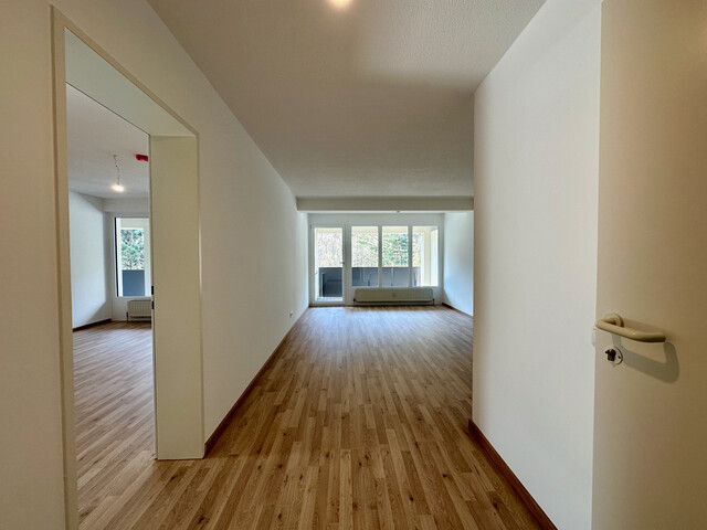 "ohne Provision" helle, neu renovierte 3 Zimmer Wohnung mit Balkon