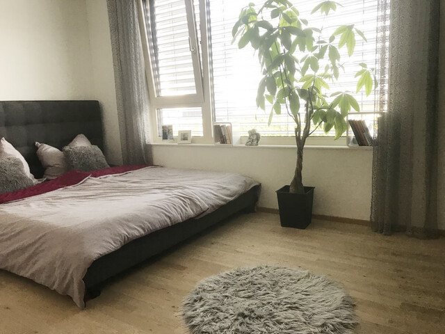 Sehr schöne helle Terrassenwohnung ab 1.2.2027 zu vermieten 