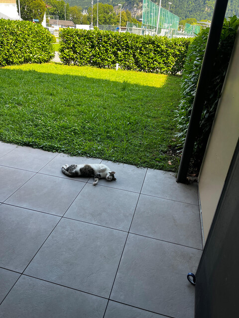 Privatverkauf: hochwertige 3-Zimmer-Gartenwohnung in Hohenems mit idealer Infrastruktur