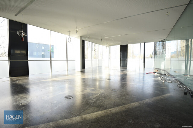 Gewerbefläche (ca. 800 m²) im Millennium Park 1 in Lustenau zur Miete!