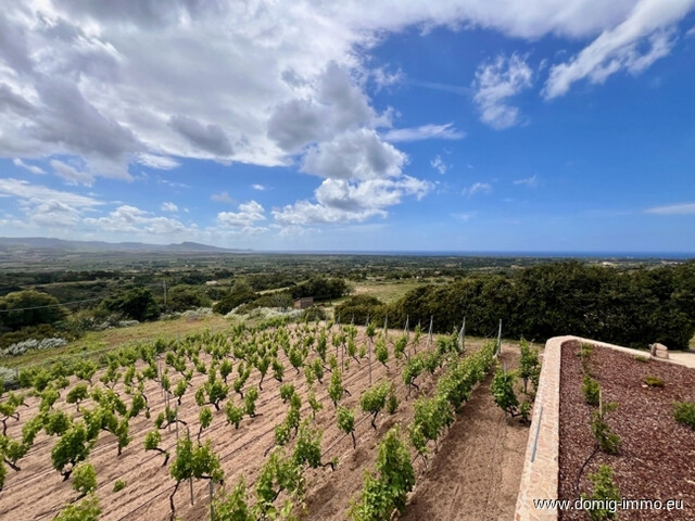 Mediterranes Anwesen mit Meerblick – in Badesi, Sardinien