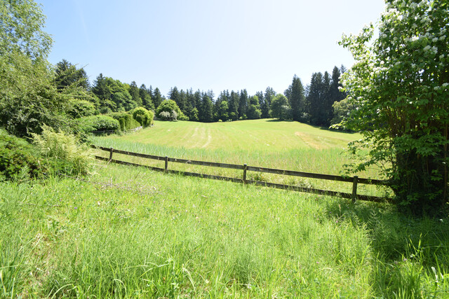 Charmantes Ferienhaus  – Naturidylle in Rickatschwende