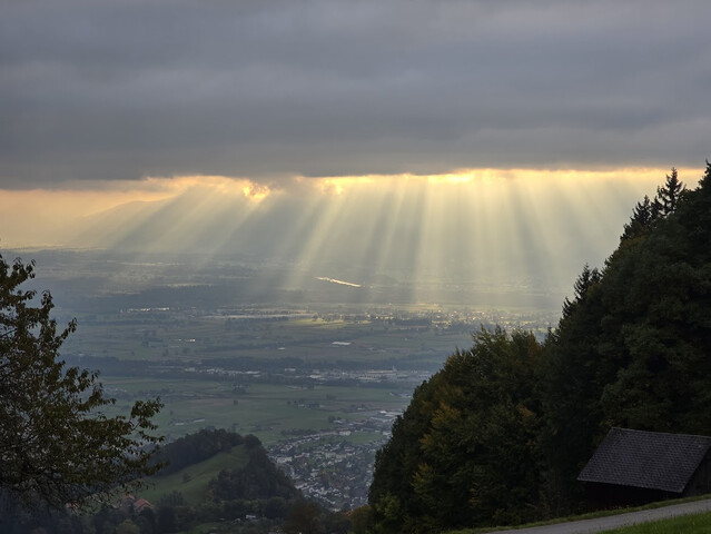 Über dem Rheintal – Ruhe, Weite, Natur