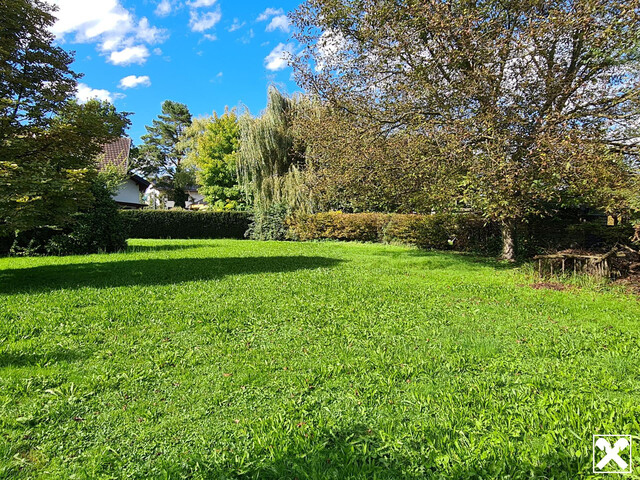 Grenznah & ruhig – Teilbares Grundstück