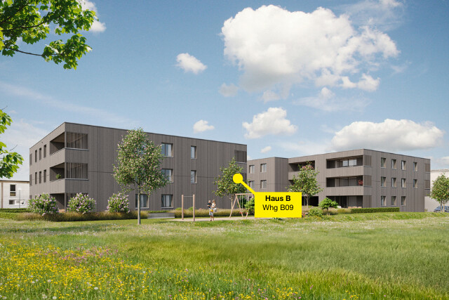 2-Zimmer-Terrassewohnung | B09